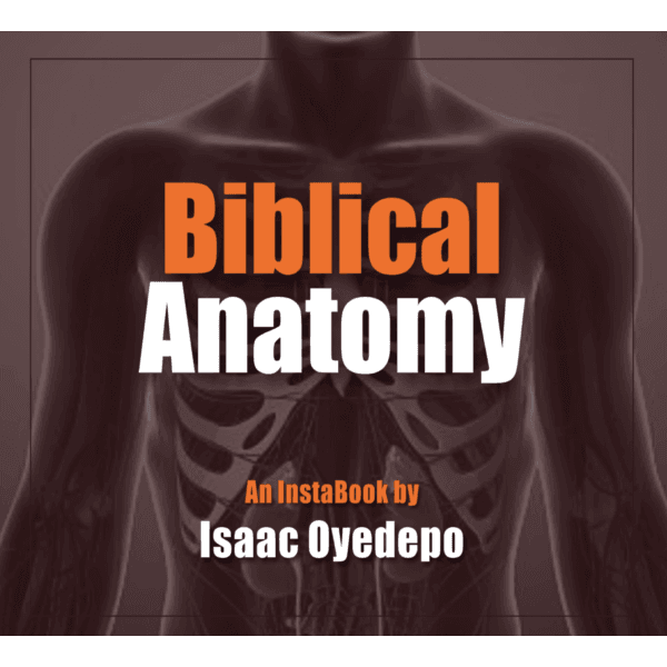 Biblical Anatomy